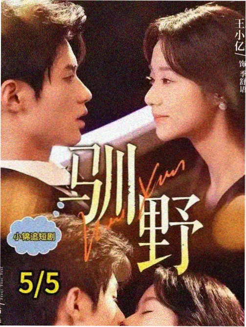 刑侦电视剧雾港十三号海报
